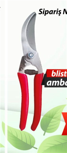 RONEY GARDEN BUDAMA MAKASI GM13801